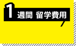 1週間の留学費用ボード